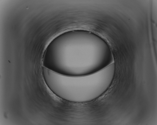 X0000097651524200802290834