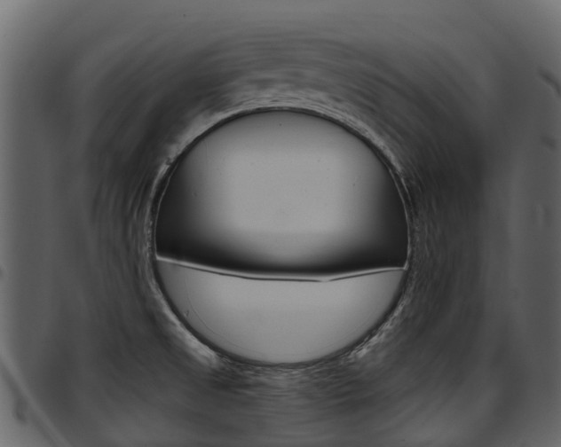 X0000097651525200802290834