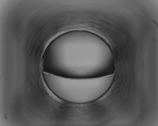 X0000097651526200802290834