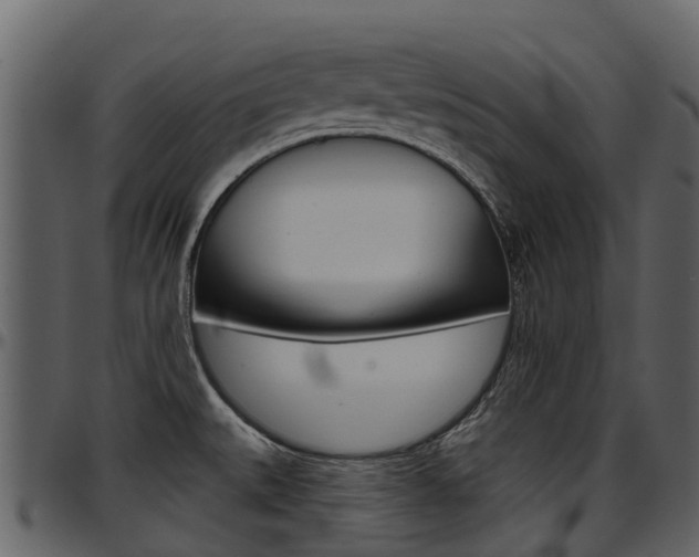 X0000097651527200802290834