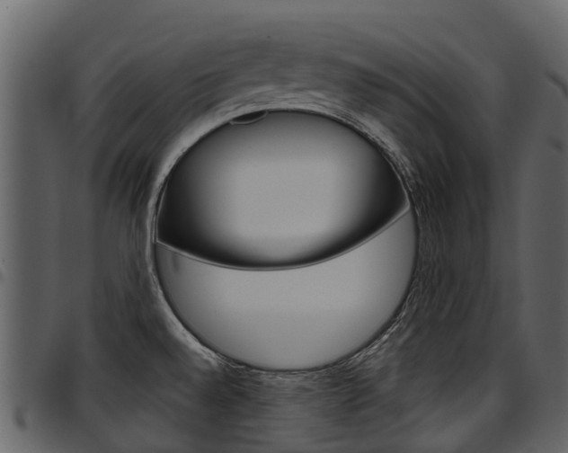 X0000097651528200802290834