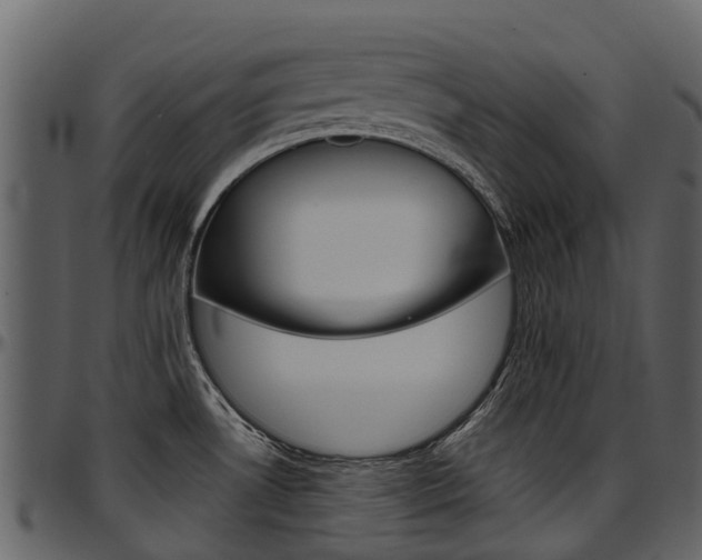 X0000097651530200802290834