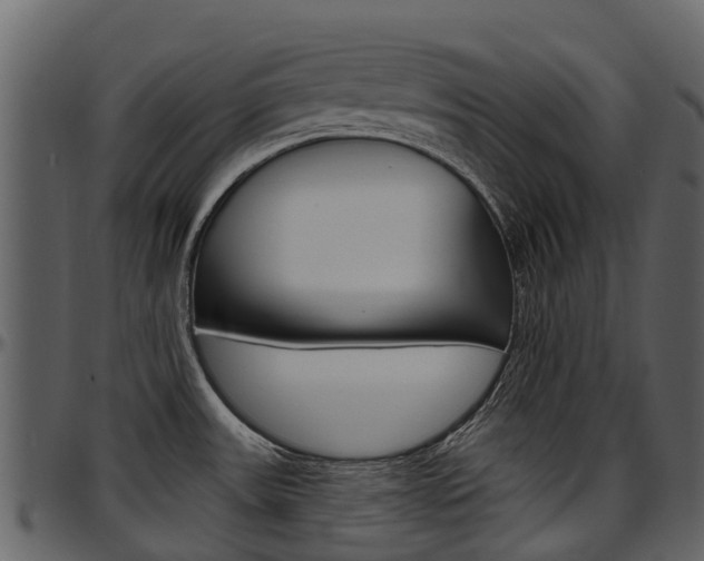 X0000097651531200802290834