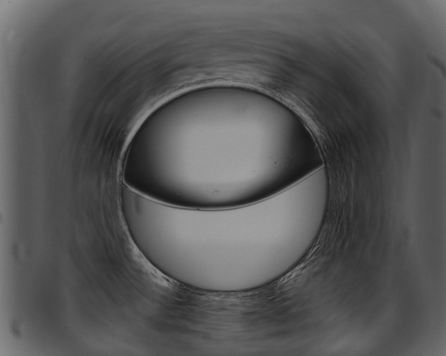 X0000097651532200802290834