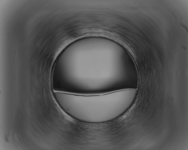 X0000097651533200802290834