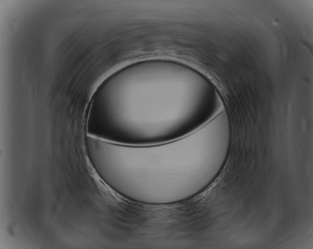 X0000097651534200802290834