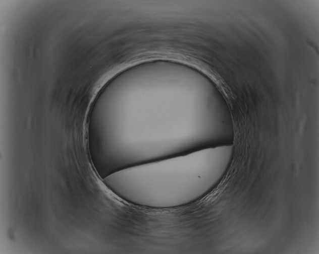 X0000097651535200802290834