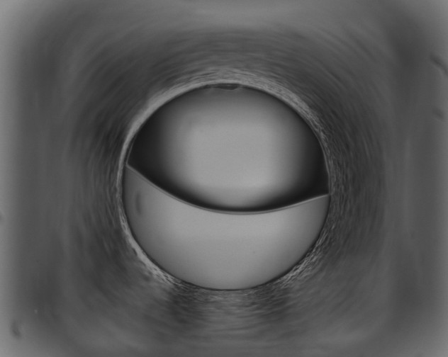 X0000097651536200802290834