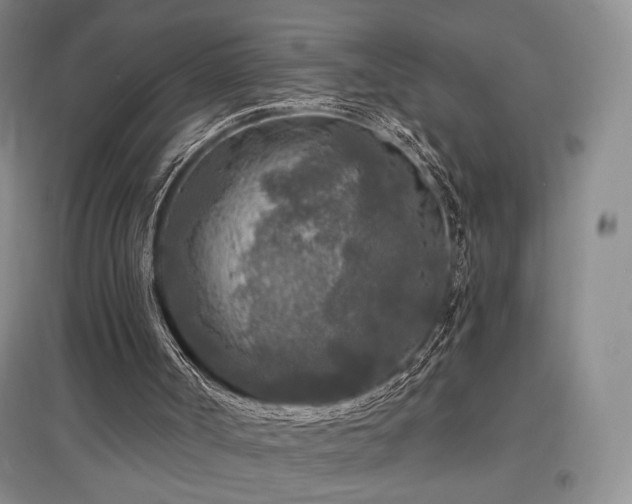 X0000097650002200802291500