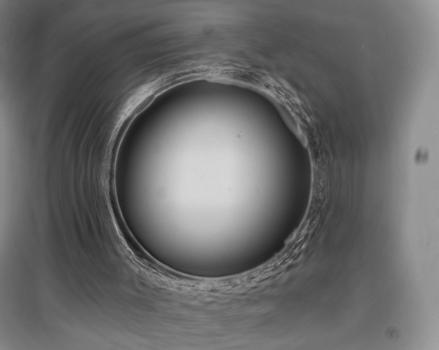 X0000097650003200802291500