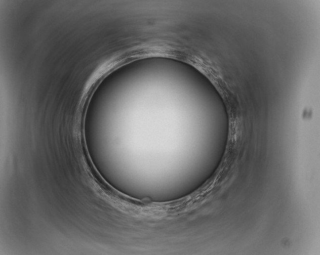 X0000097650004200802291500