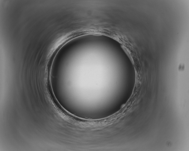 X0000097650005200802291500