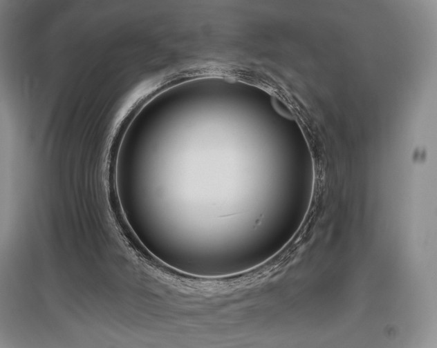 X0000097650006200802291500