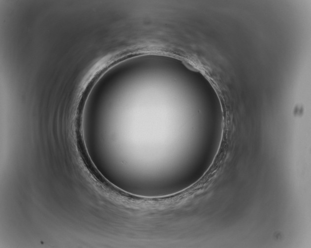 X0000097650007200802291500