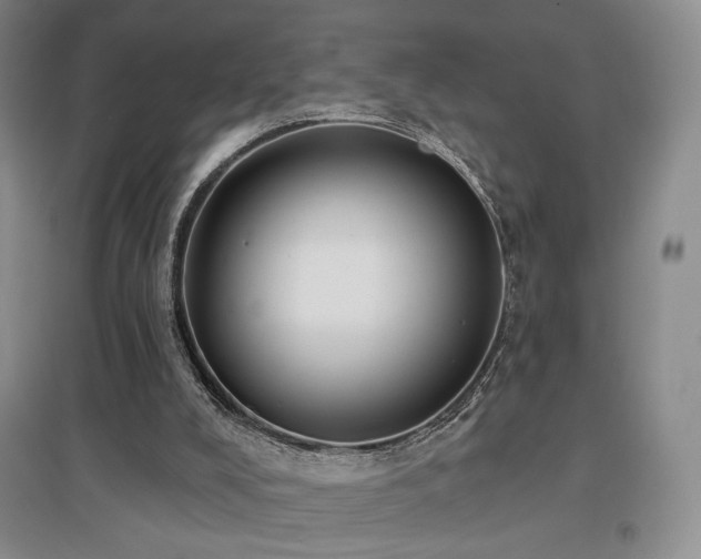 X0000097650008200802291500