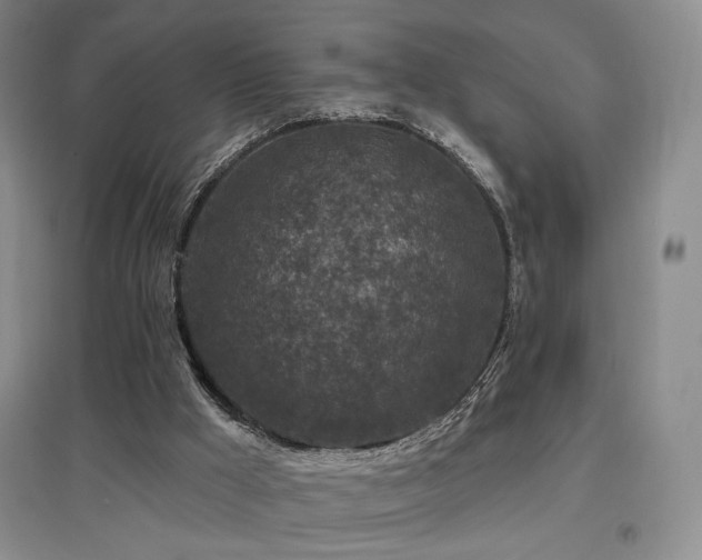 X0000097650009200802291500