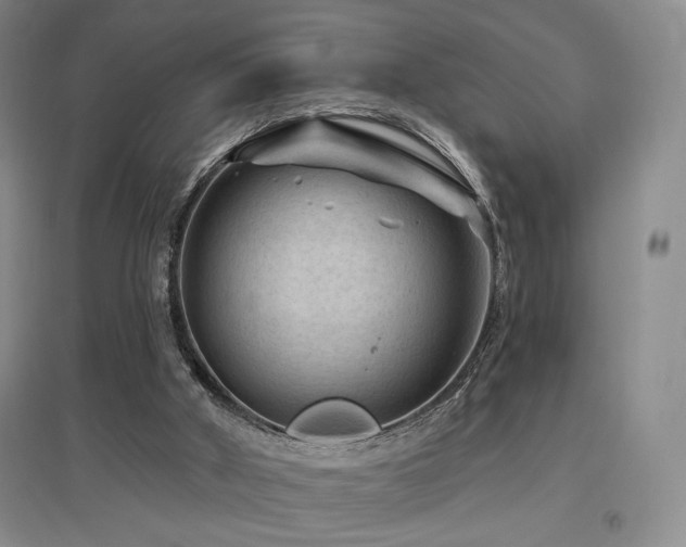 X0000097650010200802291500