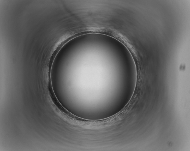 X0000097650011200802291500