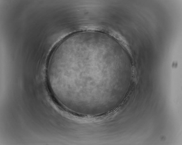 X0000097650012200802291500