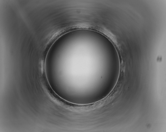 X0000097650013200802291500