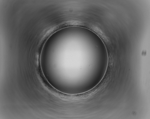 X0000097650014200802291500