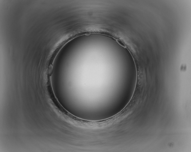 X0000097650015200802291500