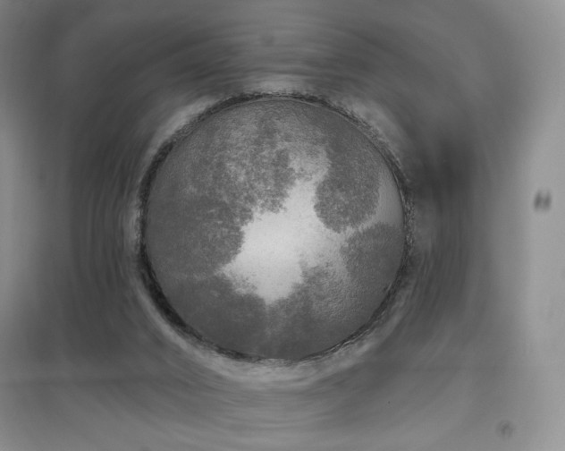 X0000097650016200802291500