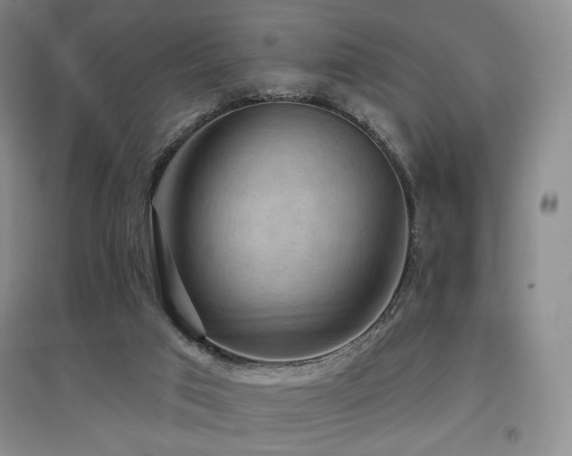 X0000097650017200802291500