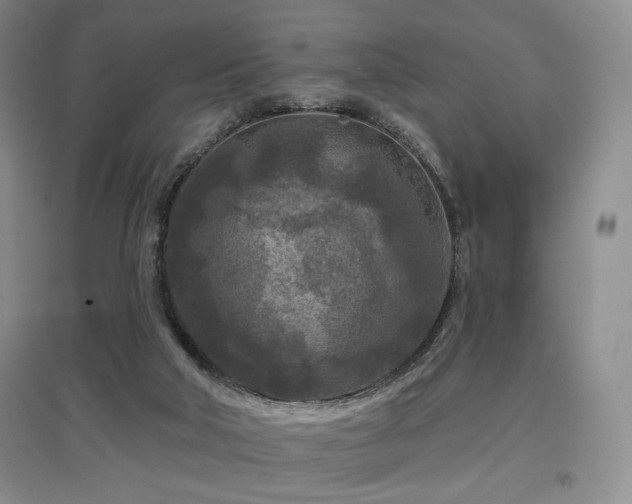 X0000097650018200802291500