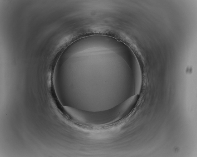 X0000097650019200802291500