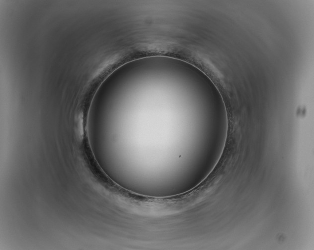 X0000097650020200802291500