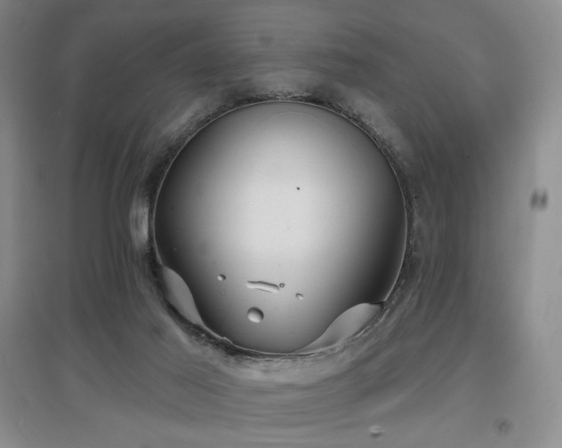 X0000097650021200802291500