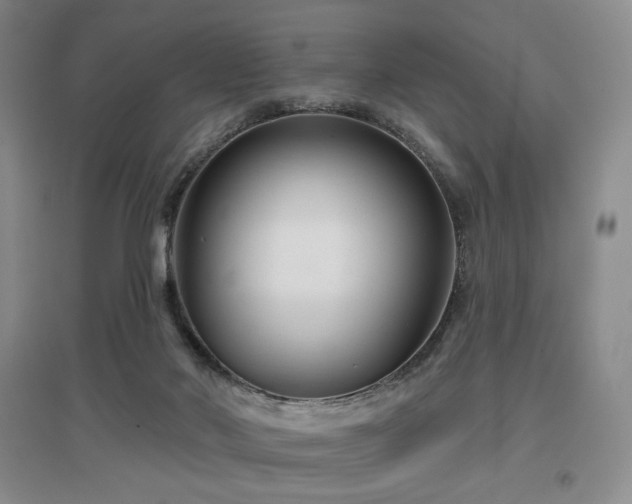 X0000097650022200802291500