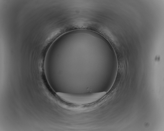 X0000097650023200802291500