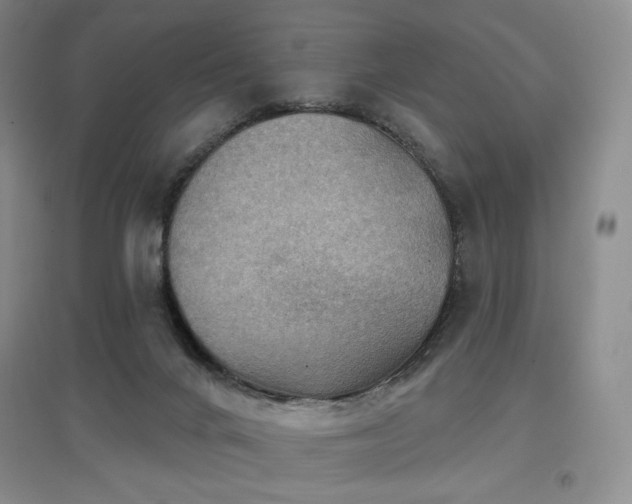 X0000097650024200802291500