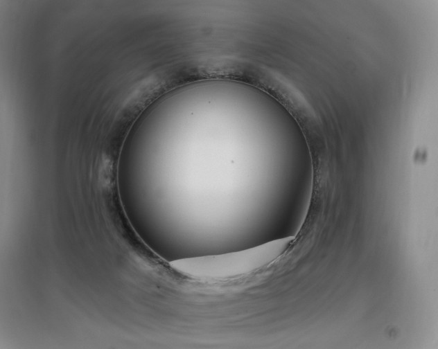 X0000097650025200802291500