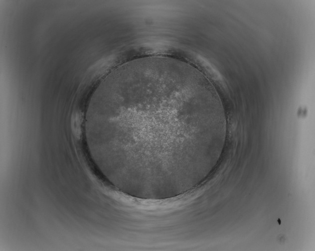 X0000097650026200802291500