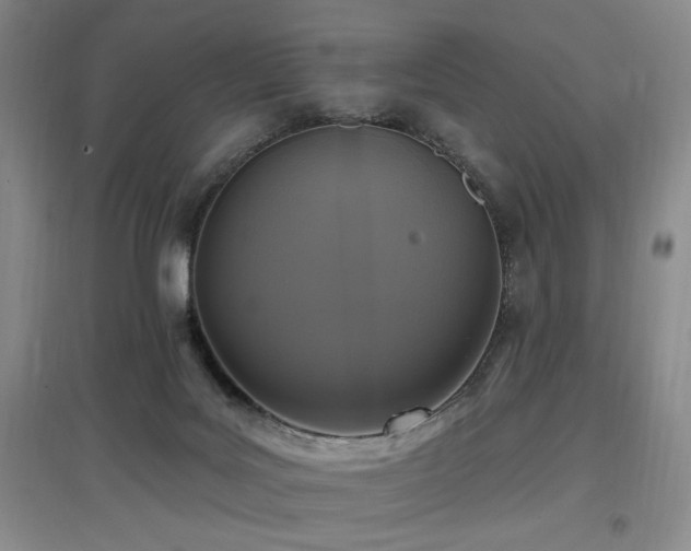 X0000097650027200802291500