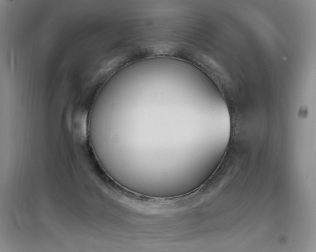 X0000097650028200802291500