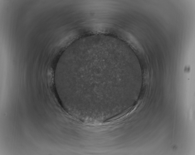 X0000097650029200802291500