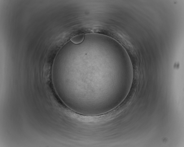 X0000097650030200802291500