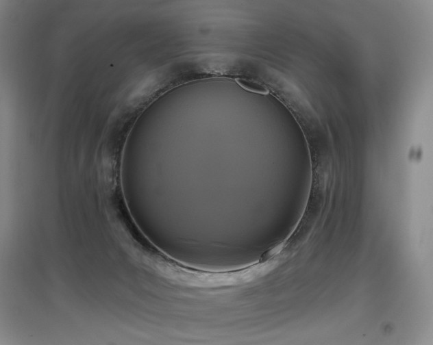 X0000097650031200802291500