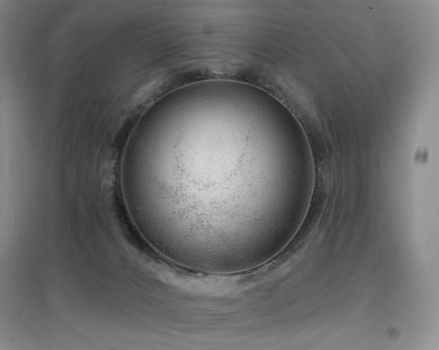 X0000097650032200802291500