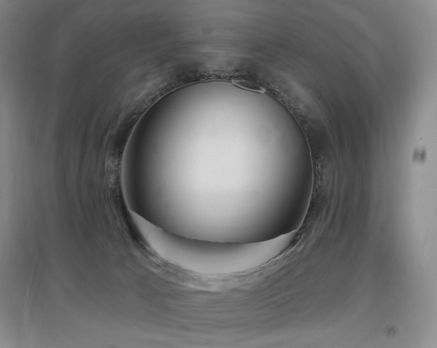 X0000097650033200802291500