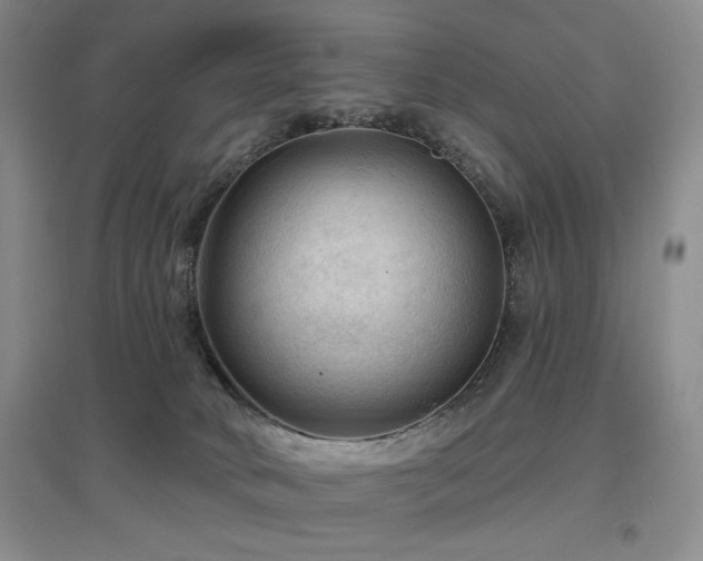 X0000097650034200802291500