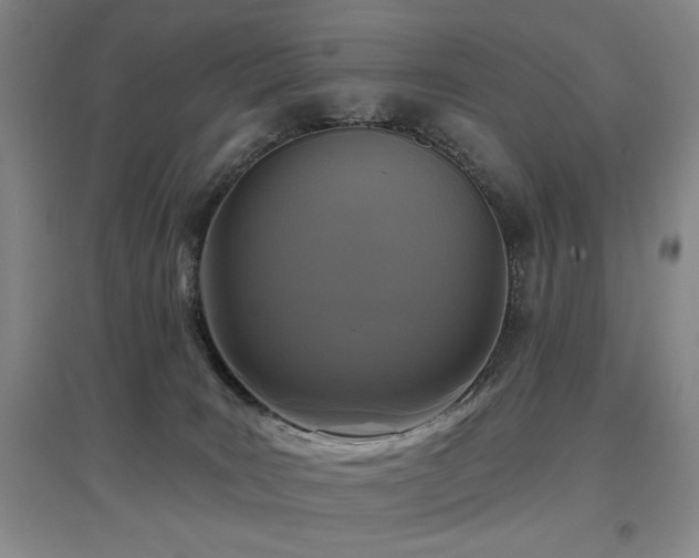 X0000097650035200802291500