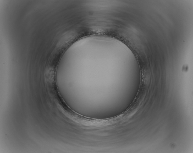 X0000097650036200802291500