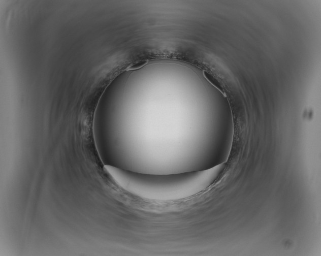 X0000097650037200802291500