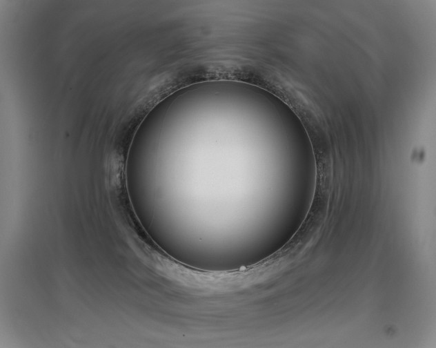 X0000097650038200802291500