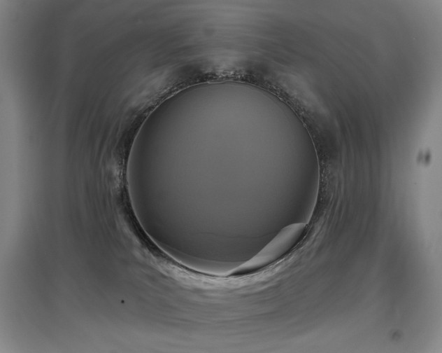 X0000097650039200802291500